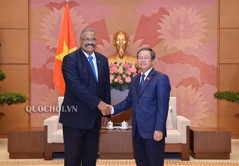 越南国会副主席杜伯巳会见古巴最高人民法院院长 ảnh 1 越南国会副主席杜伯巳会见古巴最高人民法院院长 ảnh 1