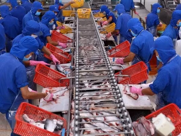 越南水产品对中国的出口活动呈现复苏态势 ảnh 2
