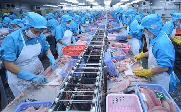 越南水产品对中国市场出口呈现激增态势 ảnh 1 越南水产品对中国市场出口呈现激增态势 ảnh 1