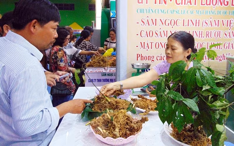 第三届玉灵人参节正式开幕 ảnh 1