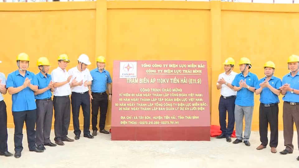太平省两个电力项目正式竣工投产 ảnh 1