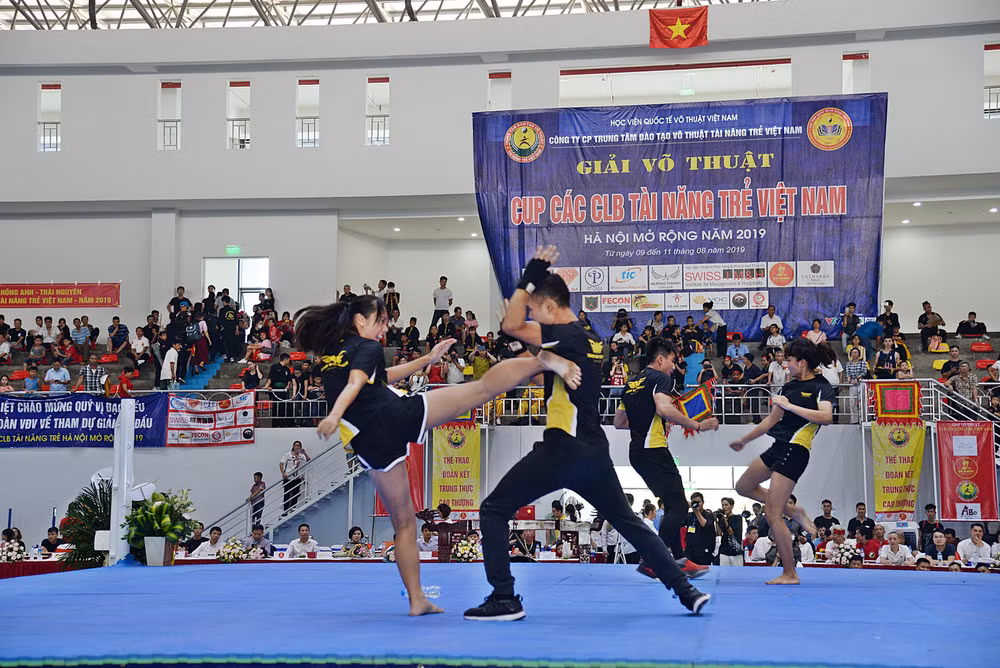 2019年河内越南年轻人才俱乐部杯武术公开赛落下帷幕 ảnh 2