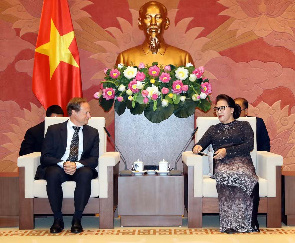 越南国会主席阮氏金银会见欧盟驻越代表团团长安格莱特 ảnh 1 越南国会主席阮氏金银会见欧盟驻越代表团团长安格莱特 ảnh 1