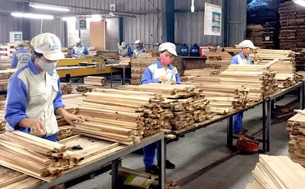 越南林业部门努力实现林产品出口额达110亿美元的目标 ảnh 1 越南林业部门努力实现林产品出口额达110亿美元的目标 ảnh 1