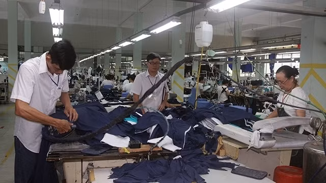 加大纺织品对欧盟市场出口力度 ảnh 1 加大纺织品对欧盟市场出口力度 ảnh 1