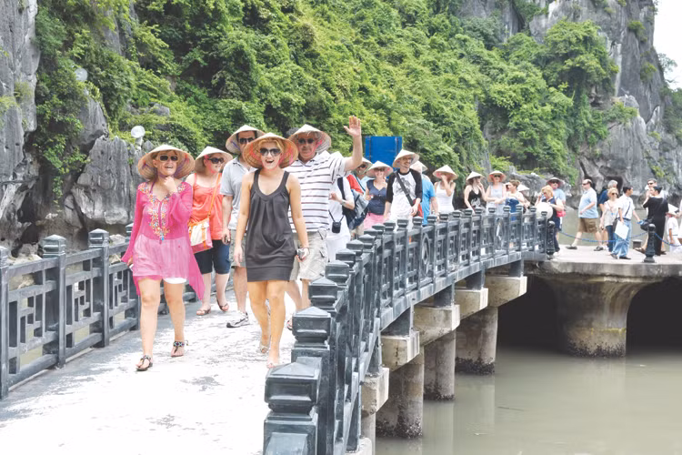 越南旅游业的新动力和展望 ảnh 2