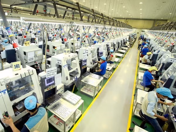 今年上半年越南新成立企业近6.7万家 ảnh 1