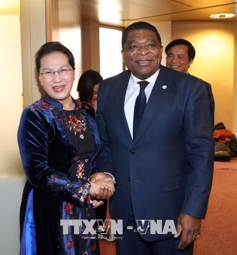 越南国会主席阮氏金银会见各国议会联盟秘书长马丁·纯贡 ảnh 1