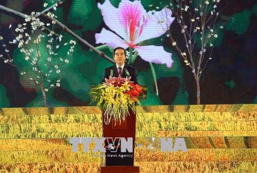 2018年奠边省羊蹄甲花节有助于弘扬传统文化 ảnh 2 2018年奠边省羊蹄甲花节有助于弘扬传统文化 ảnh 2