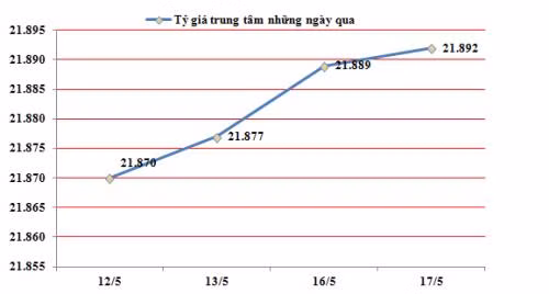 越南国家银行越盾兑美元中心汇率较前一日上涨3越盾 ảnh 1