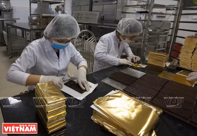 越南可可制成的Marou巧克力 ảnh 12 越南可可制成的Marou巧克力 ảnh 12