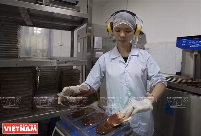 越南可可制成的Marou巧克力 ảnh 11 越南可可制成的Marou巧克力 ảnh 11