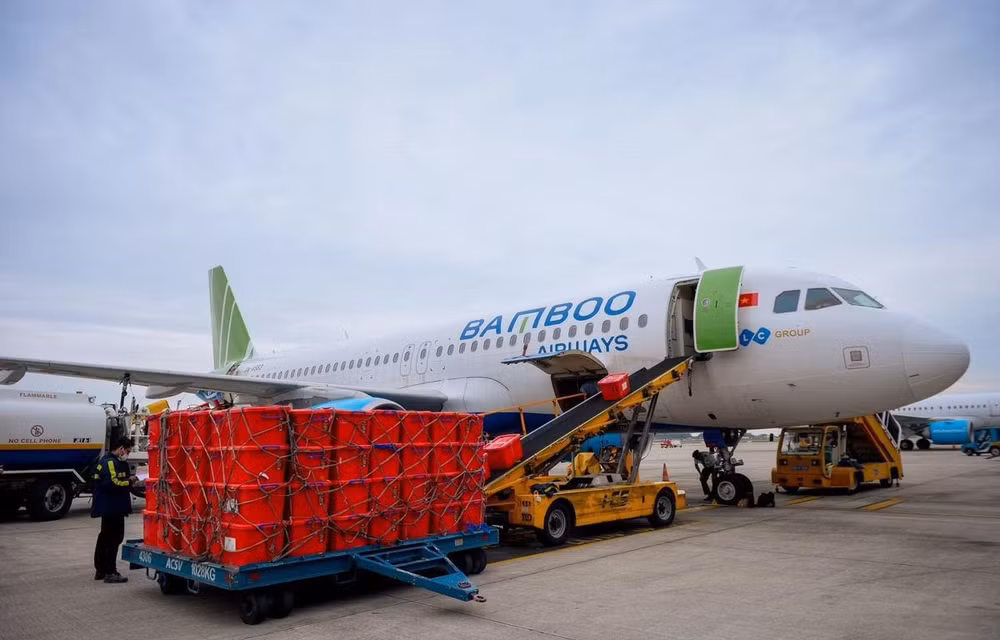 越竹航空免费运输医疗物资驰援海阳省 ảnh 1 越竹航空免费运输医疗物资驰援海阳省 ảnh 1