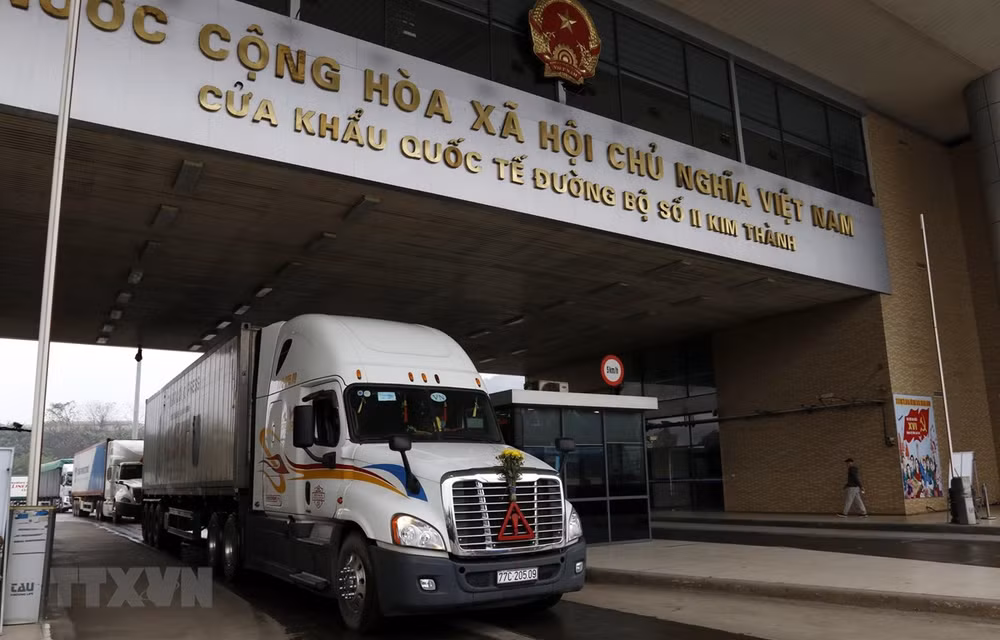超过1.4万吨火龙果通过老街口岸向中国出口 ảnh 1