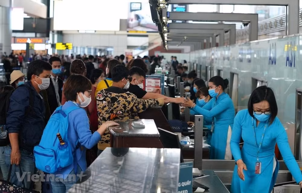 疫情后越南旅游业力争展翅高飞 ảnh 1 疫情后越南旅游业力争展翅高飞 ảnh 1