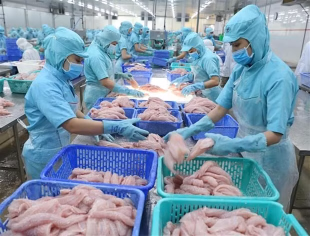 2021年1月越南农林水产品出口额达近35亿美元 ảnh 1 2021年1月越南农林水产品出口额达近35亿美元 ảnh 1