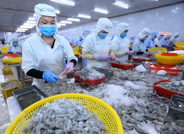 2021年水产品销售需求预计大幅回升 ảnh 1 2021年水产品销售需求预计大幅回升 ảnh 1