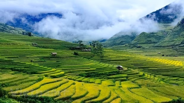 越南安沛省木江界县旅程中不可错过的美景 ảnh 1 越南安沛省木江界县旅程中不可错过的美景 ảnh 1