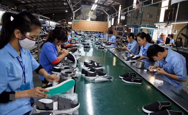 越南皮鞋产业努力克服困难 更深更广地参与国际市场 ảnh 1 越南皮鞋产业努力克服困难 更深更广地参与国际市场 ảnh 1