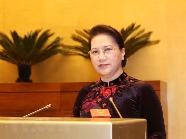国会主席阮氏金银:进一步提高国会工作质效 ảnh 1 国会主席阮氏金银:进一步提高国会工作质效 ảnh 1