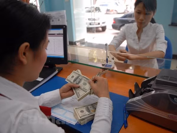 世行:灵活管理外汇 更好地适应外部条件 ảnh 3 世行:灵活管理外汇 更好地适应外部条件 ảnh 3