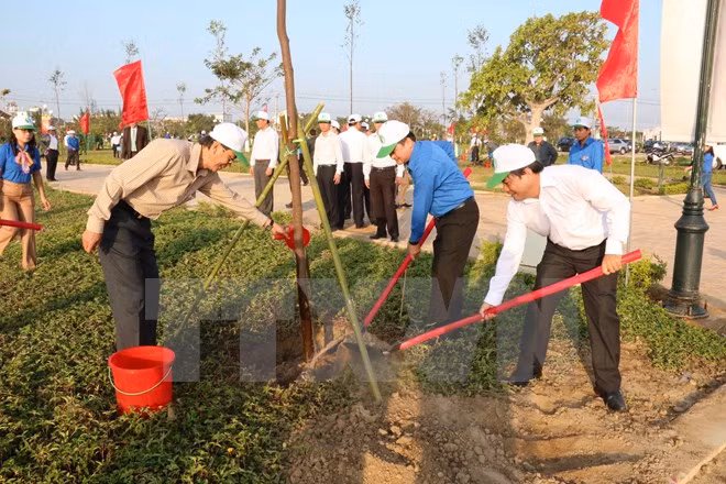 胡志明市力争至2020年底森林覆盖率达40% ảnh 1 胡志明市力争至2020年底森林覆盖率达40% ảnh 1