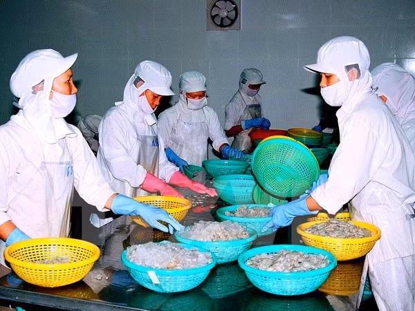  《越南和亚欧经济联盟自由贸易协定》：机遇与挑战 ảnh 1