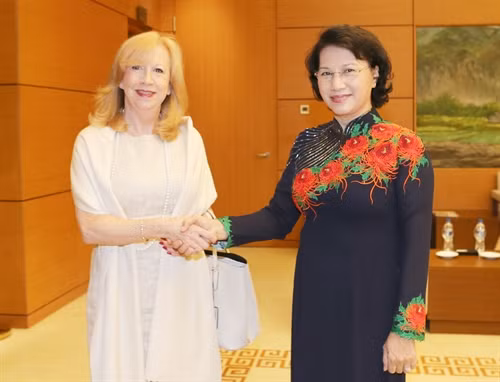 国会主席阮氏金银会见英国议会下议院副议长埃莉诺‧雷恩格 ảnh 2 国会主席阮氏金银会见英国议会下议院副议长埃莉诺‧雷恩格 ảnh 2