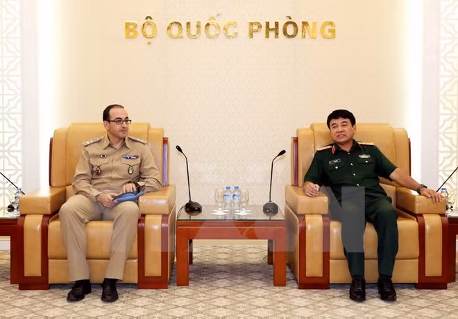 联合国协助越南更有效地参与其维和行动 ảnh 1