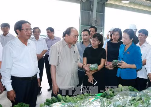 越南政府总理阮春福参观海防VinEco高科技农业投资项目 ảnh 1 越南政府总理阮春福参观海防VinEco高科技农业投资项目 ảnh 1