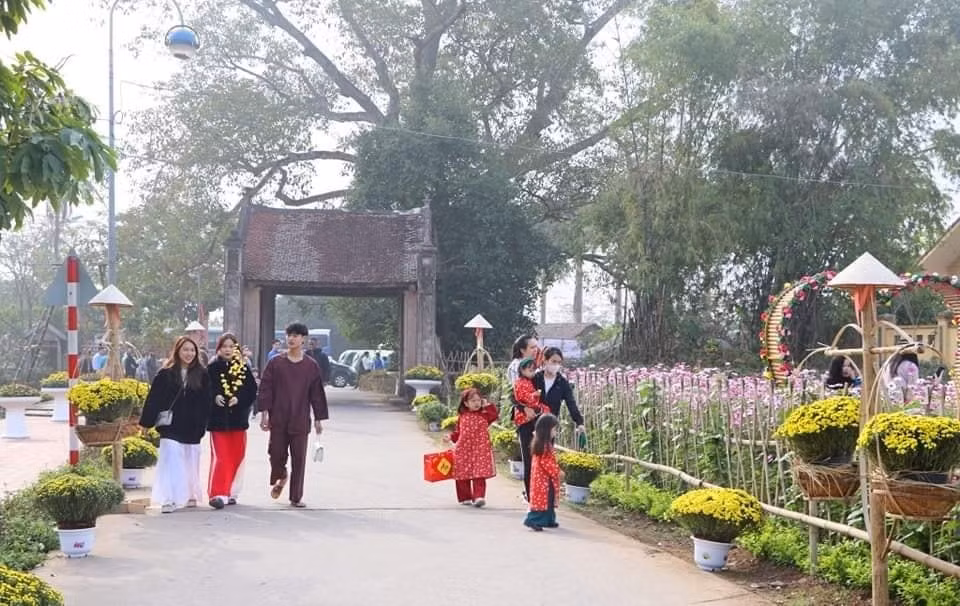  “越南村春节”活动在唐林古村举行 ảnh 1