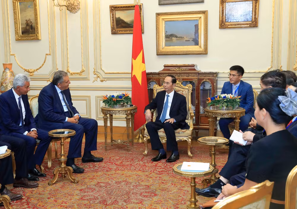 越南国家主席陈大光圆满结束对埃及的国事访问 ảnh 1