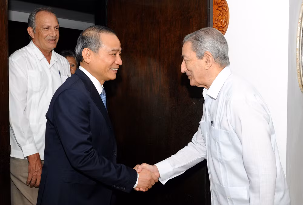 岘港市委代表团对古巴进行工作访问 ảnh 1