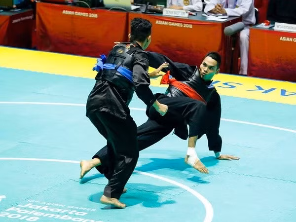 ASIAD 2018: 越南完成既定目标 ảnh 1 ASIAD 2018: 越南完成既定目标 ảnh 1