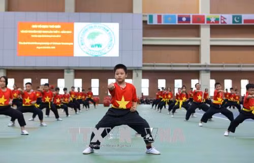 2018年第二次越南传统武术国际锦标赛正式开赛 ảnh 2 2018年第二次越南传统武术国际锦标赛正式开赛 ảnh 2
