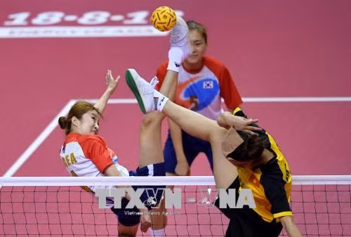 2018 ASIAD:越南赢得10枚奖牌,在45个国家和地区中排名第20位 ảnh 1 2018 ASIAD:越南赢得10枚奖牌,在45个国家和地区中排名第20位 ảnh 1