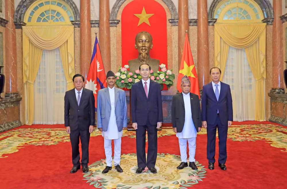 越南国家主席陈大光接受九国新任驻越大使递交国书 ảnh 2 越南国家主席陈大光接受九国新任驻越大使递交国书 ảnh 2