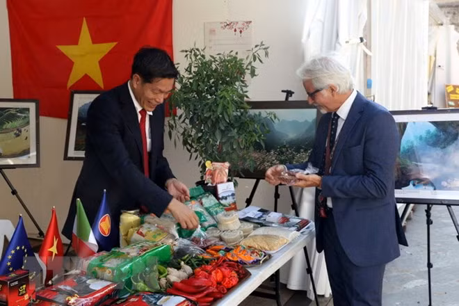 越南首次参加意大利国际辣椒博览会活动 ảnh 1 越南首次参加意大利国际辣椒博览会活动 ảnh 1