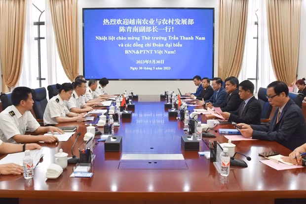 智能口岸试点运行 缓解农产品拥堵 ảnh 2 智能口岸试点运行 缓解农产品拥堵 ảnh 2