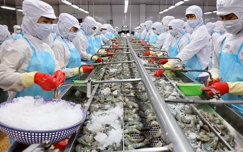 越南食品加工业发展潜力巨大 投资吸引力强 ảnh 1