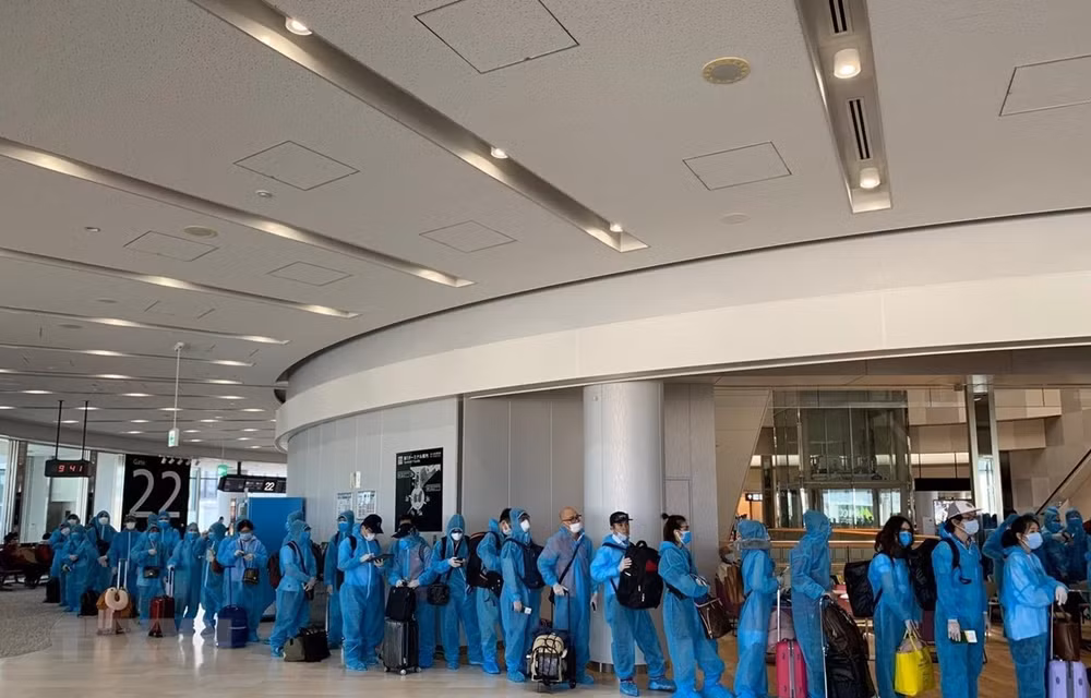 越南政府组织航班 将190名越南公民从日本接回国 ảnh 1 越南政府组织航班 将190名越南公民从日本接回国 ảnh 1