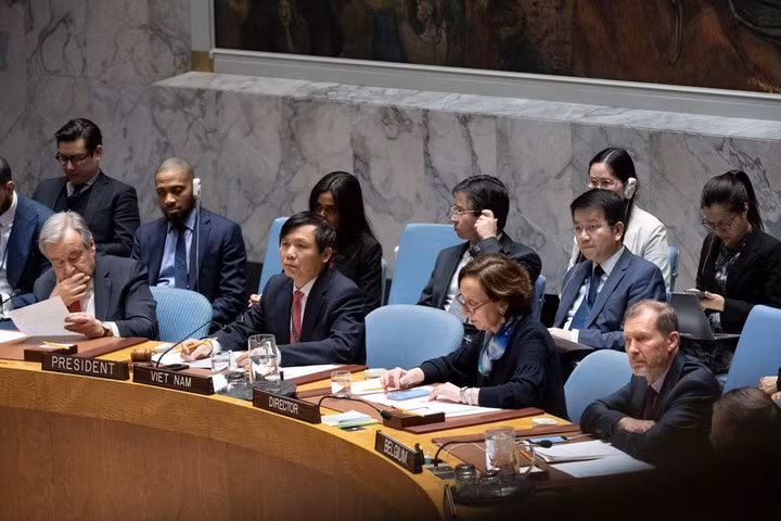 越南与联合国安理会:联合国安理会上半年的活动盘点及越南的作用和贡献 ảnh 2 越南与联合国安理会:联合国安理会上半年的活动盘点及越南的作用和贡献 ảnh 2