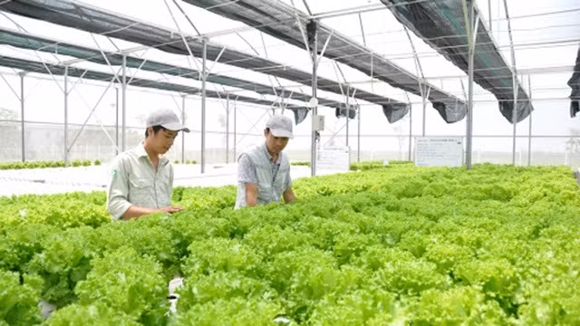 越南农业利用第四次工业革命成就实现发展 ảnh 1 越南农业利用第四次工业革命成就实现发展 ảnh 1
