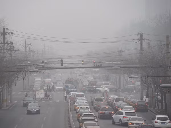 世卫组织:东南亚是世界上空气污染最为严重的地区之一 ảnh 1 世卫组织:东南亚是世界上空气污染最为严重的地区之一 ảnh 1