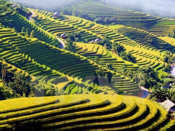蒙族旅游文化村将成为河江省旅游业的亮点 ảnh 1
