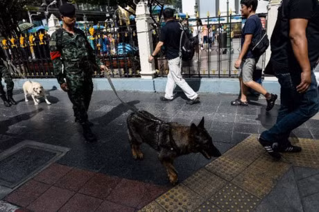 泰国警察逮捕首个南部连环爆炸案嫌疑人 ảnh 1 泰国警察逮捕首个南部连环爆炸案嫌疑人 ảnh 1