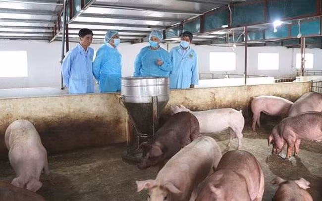 2019年越南十大经济热点新闻 ảnh 5 2019年越南十大经济热点新闻 ảnh 5