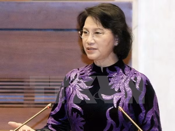 国会主席阮氏金银:亚太议会论坛第26届年会充分发挥APEC的成果 ảnh 1 国会主席阮氏金银:亚太议会论坛第26届年会充分发挥APEC的成果 ảnh 1