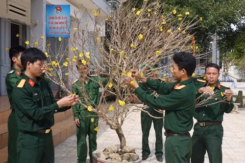 竹岛的军民鱼水之情 ảnh 1