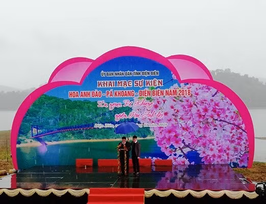 2018年奠边帕框樱花节:展示樱花之美 推介当地旅游潜力 ảnh 1 2018年奠边帕框樱花节:展示樱花之美 推介当地旅游潜力 ảnh 1
